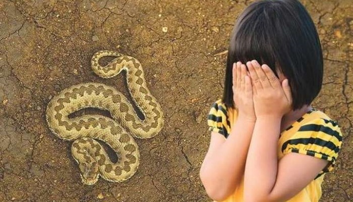Что делать, если ребенка укусила змея?
